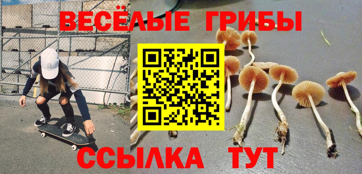 Воронеж  закладка  Вход с VPN  Псилоцибиновые грибы Cubensis 